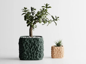 TerraForm 3D Planter – Organic Rock-Texture Pot